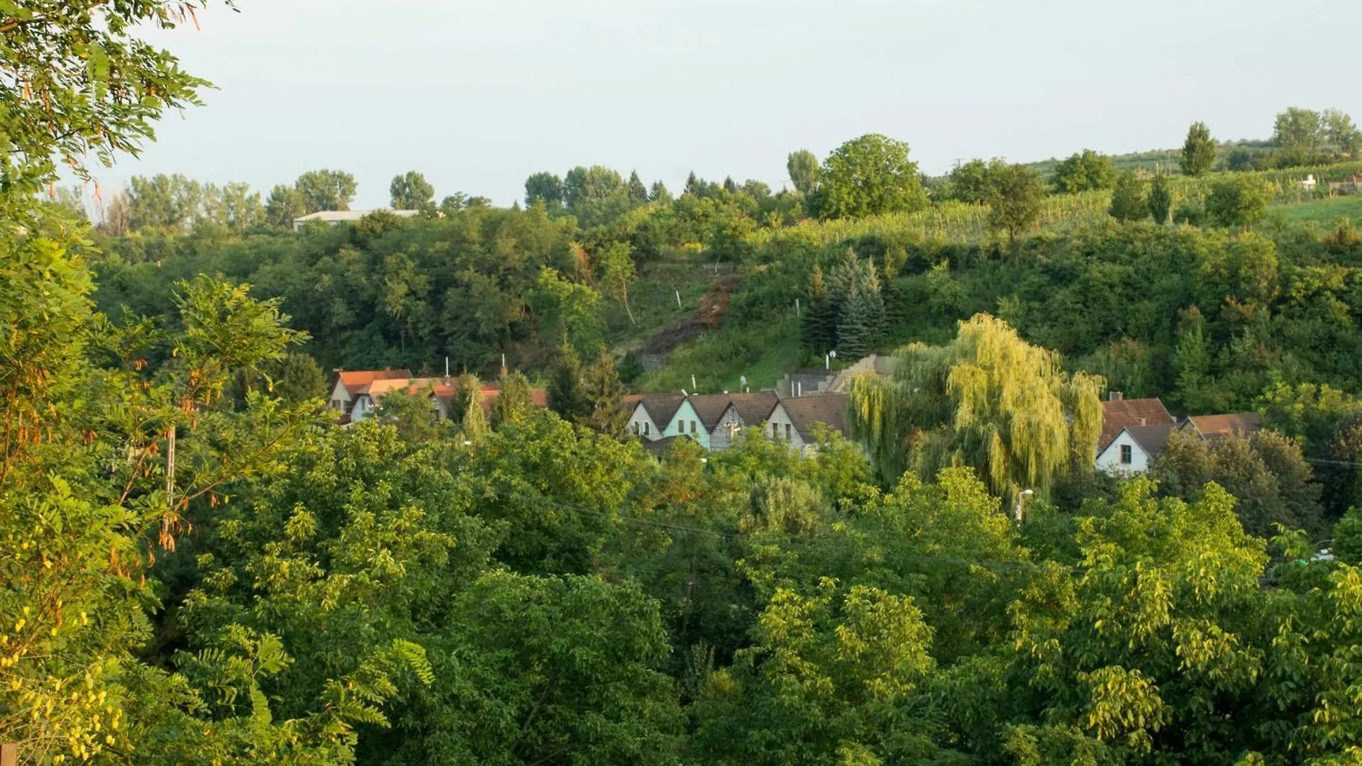 Demizson Apartman Eger Magyarország